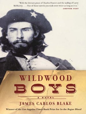 cover image of Wildwood Boys